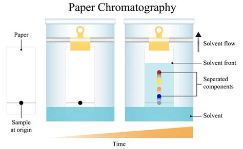 chromatography for dummies|Chromatography guide for KS3 chemistry students .